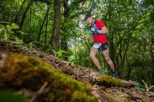 BIB: , 3327
                            <button type="button" onclick="openModal(16008983)" class="btn btn-primary btn-sm float-right btn-popup" data-toggle="modal" data-target=".modal-high-quality">
                        <i class="fas fa-shopping-cart"></i> Add to Cart
                    </button>
                                            <button type="button" onclick="isThisMe(16008983, true)" class="btn btn-success btn-sm float-right btn-popup btn-isme hidden" data-toggle="tooltip" data-placement="bottom" title="นี่คือรูปของคุณใช่ไหม คลิกที่นี่เพื่อเอาเข้าอัลบั้ม">
                        <i class="fas fa-plus"></i> Add to album
                    </button>
                    <button type="button" onclick="isThisMe(16008983, false)" class="btn btn-warning btn-sm float-right btn-popup btn-isnotme hidden">
                        <i class="fas fa-ban"></i> Remove from album
                    </button>